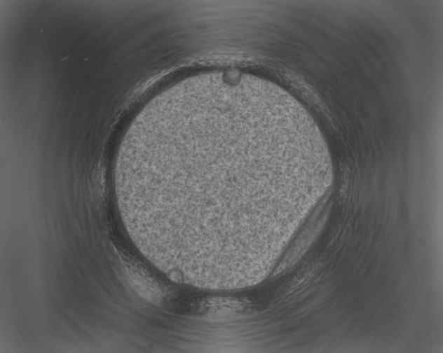 X0000082990636200702230101