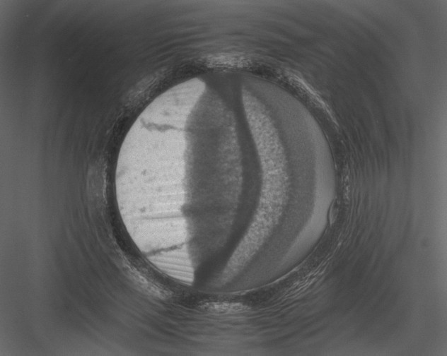 X0000082990637200702230101