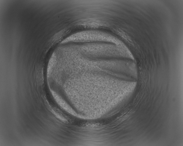 X0000082990638200702230101