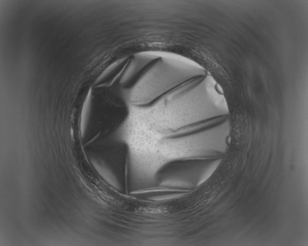 X0000082990639200702230101