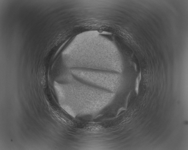 X0000082990642200702230101