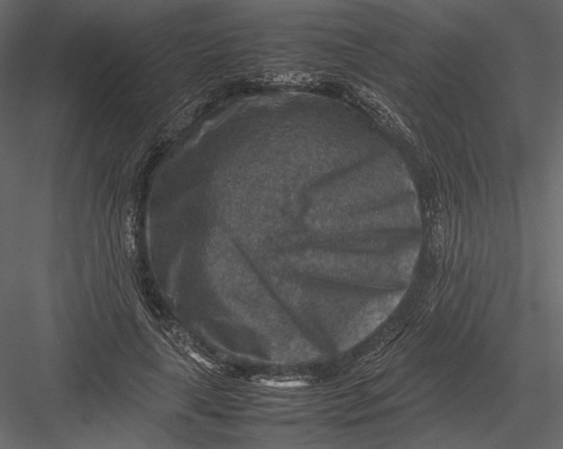 X0000082990643200702230101