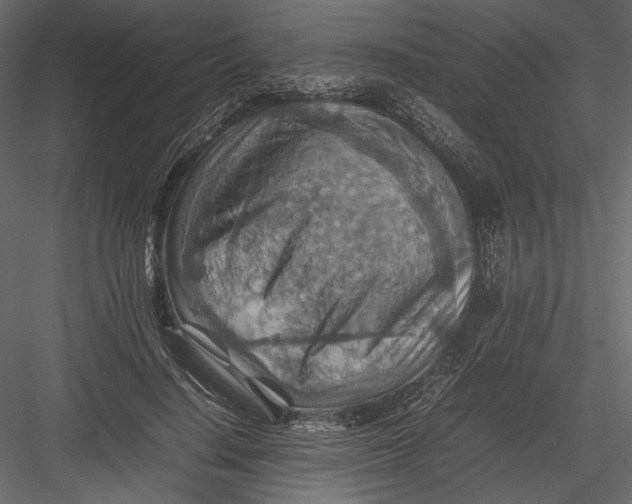 X0000082990644200702230101