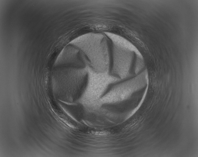 X0000082990645200702230101