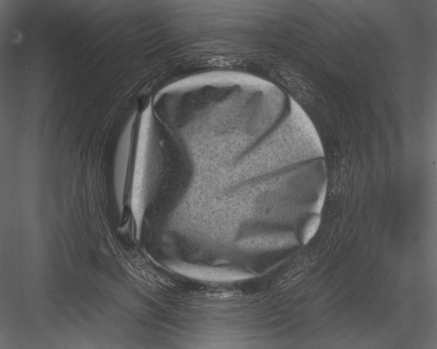 X0000082990646200702230101