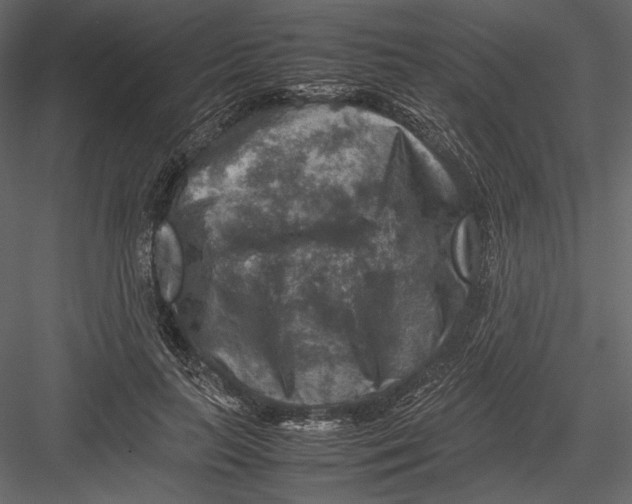 X0000082990647200702230101