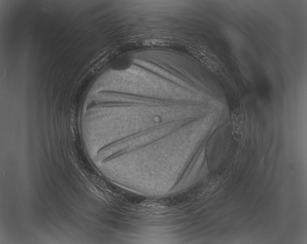 X0000082990648200702230101