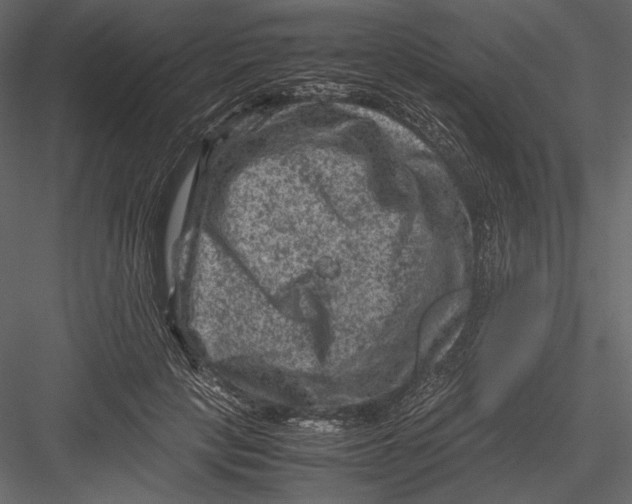 X0000082990649200702230101