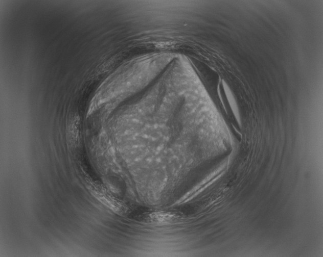 X0000082990650200702230101