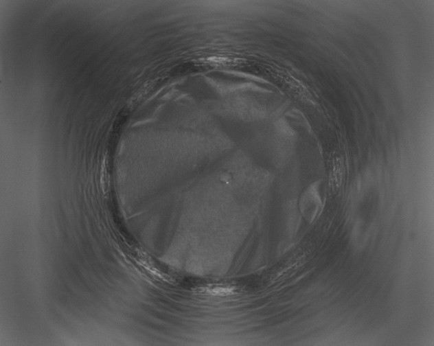 X0000082990651200702230101