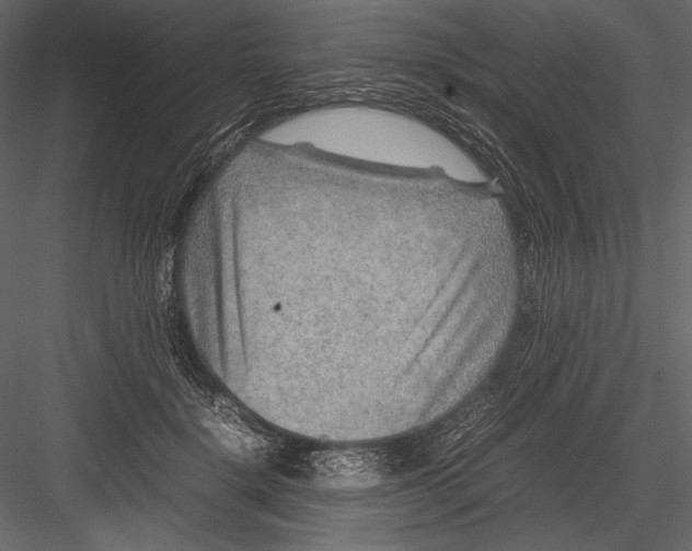 X0000082990652200702230101