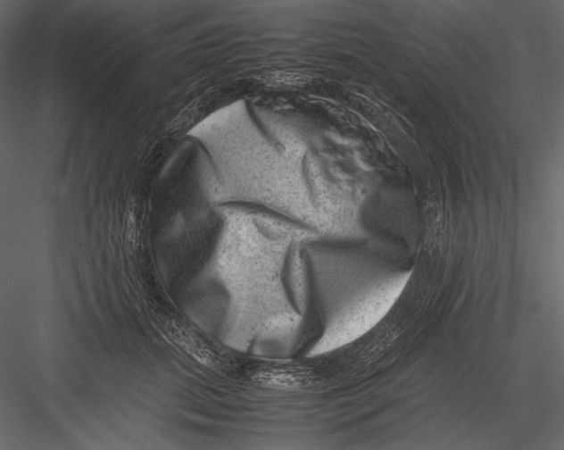 X0000082990655200702230101