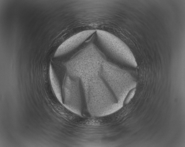 X0000082990656200702230101