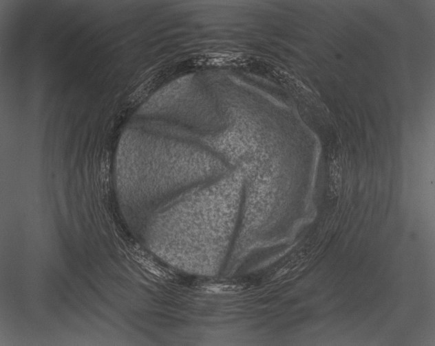 X0000082990657200702230101