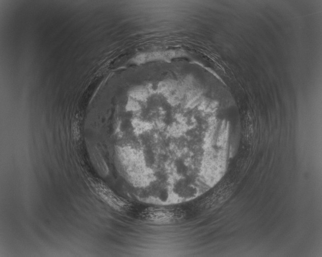 X0000082990658200702230101