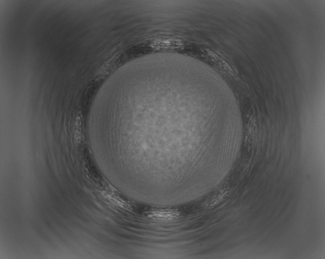 X0000082990659200702230101