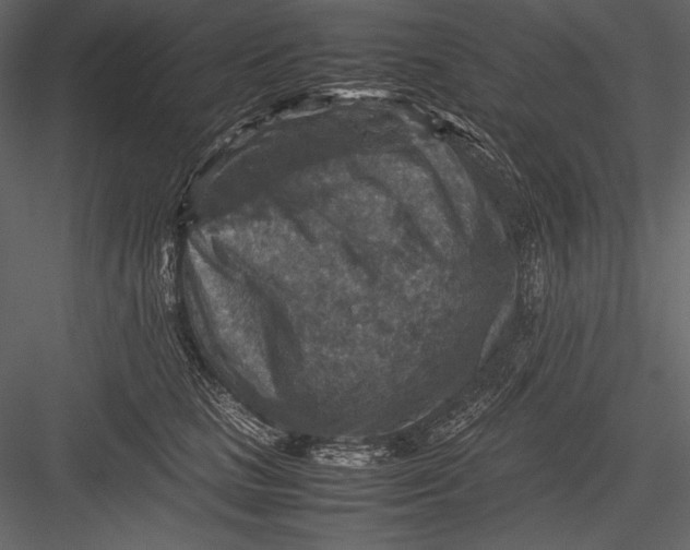 X0000082990661200702230101