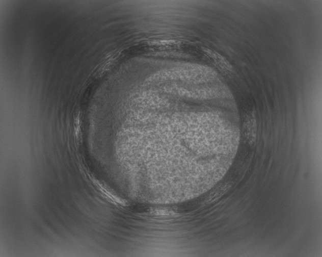 X0000082990662200702230101