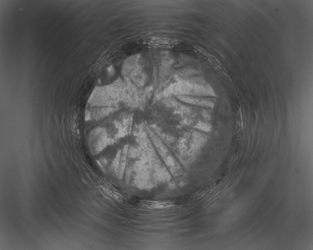 X0000082990663200702230101