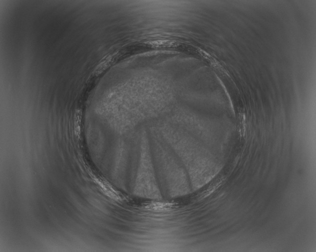 X0000082990664200702230101