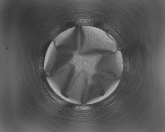 X0000082990665200702230101