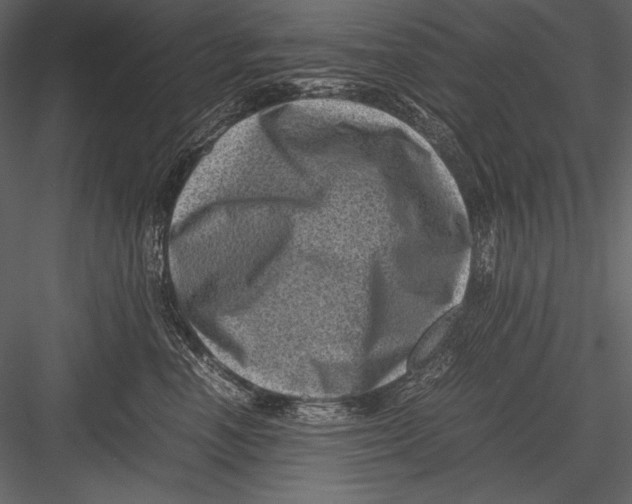 X0000082990666200702230101