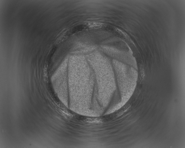 X0000082990667200702230101