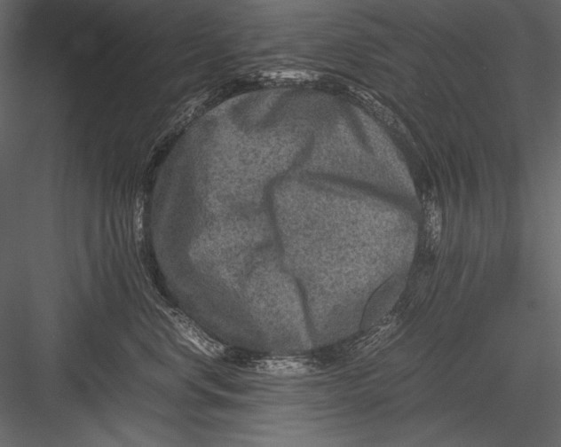 X0000082990668200702230101