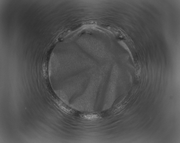 X0000082990669200702230101