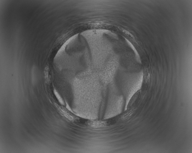 X0000082990670200702230101