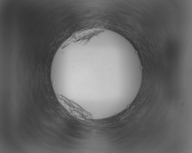 X0000082990672200702230101