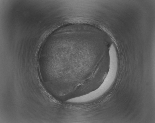 X0000082990673200702230101