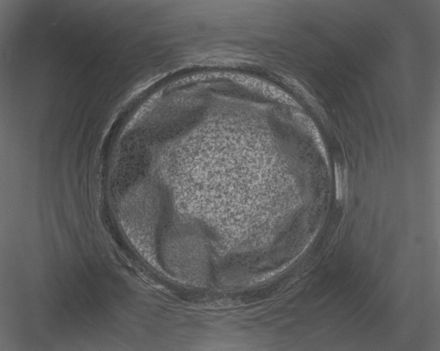 X0000082990675200702230101