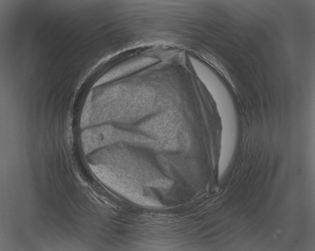 X0000082990676200702230101