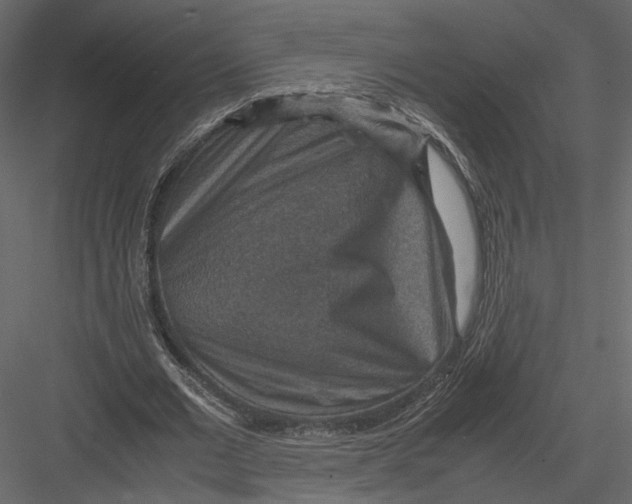 X0000082990677200702230101