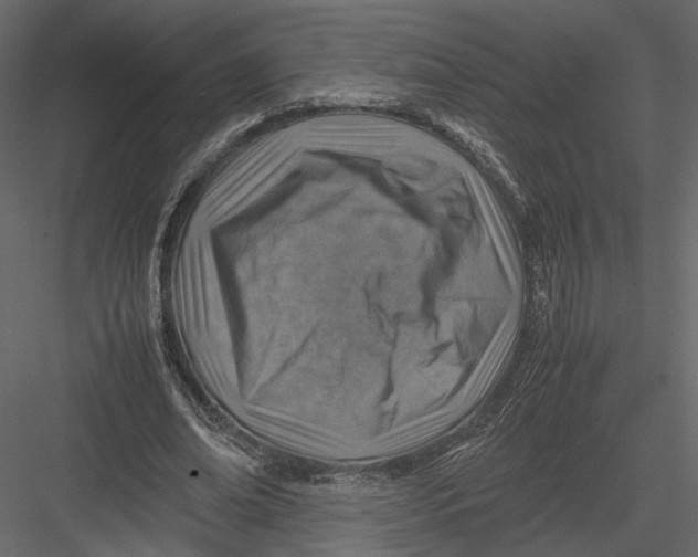 X0000082990678200702230101