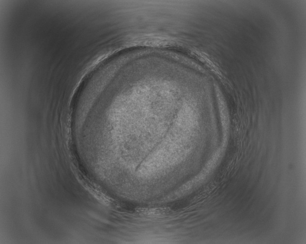 X0000082990679200702230100