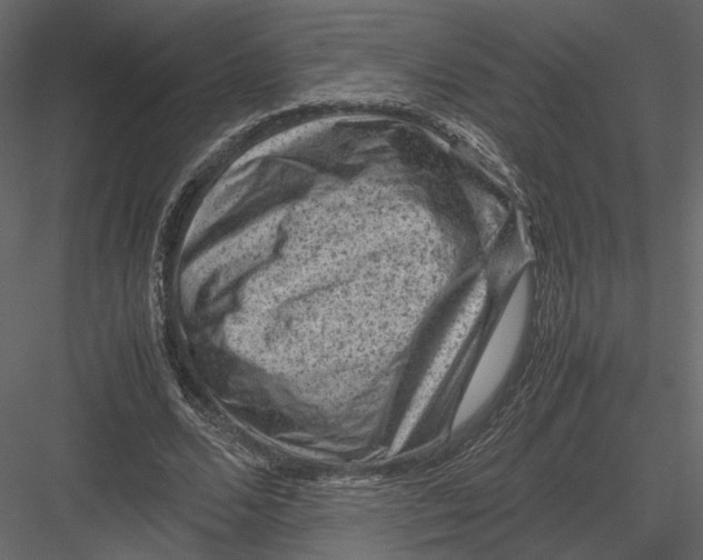 X0000082990680200702230100