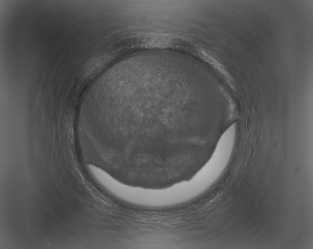 X0000082990681200702230100