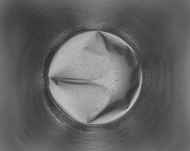 X0000082990682200702230100