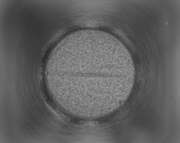 X0000082990683200702230100