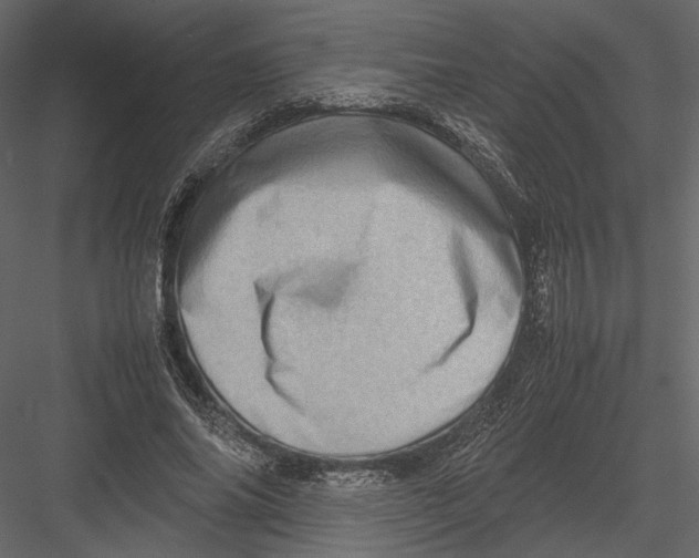 X0000082990686200702230100