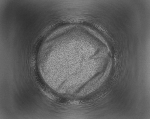 X0000082990687200702230100