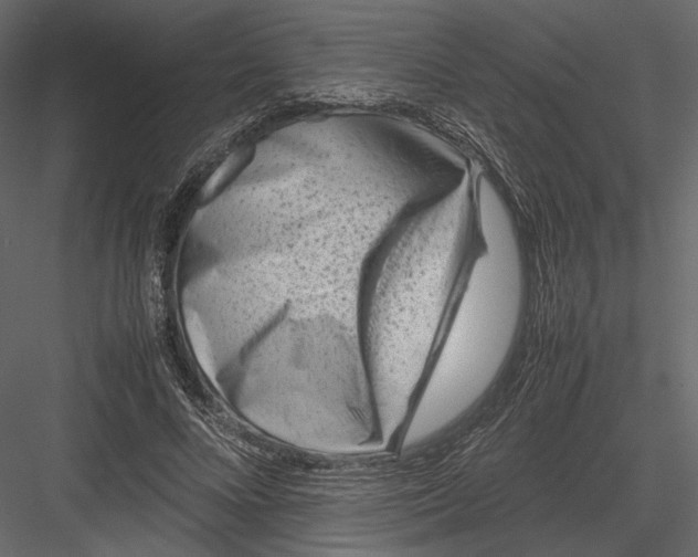 X0000082990688200702230100