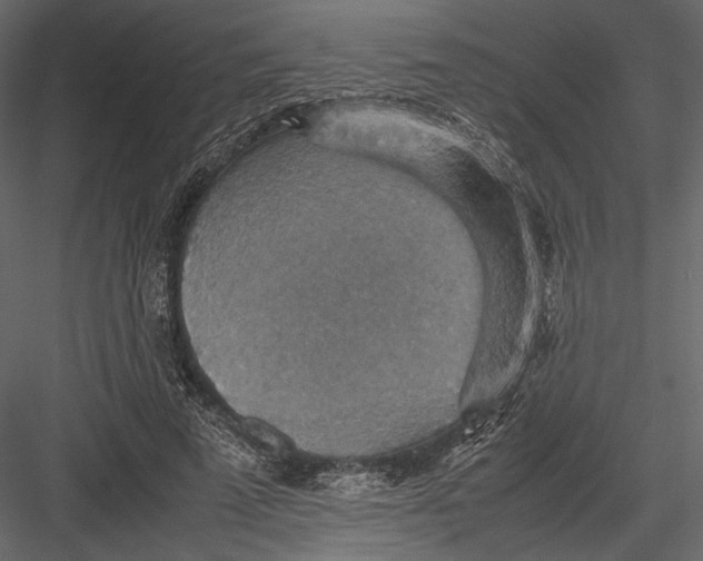 X0000082990689200702230100