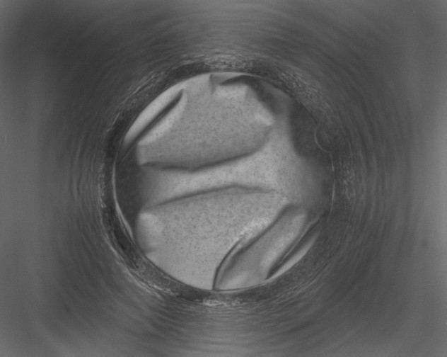 X0000082990690200702230100