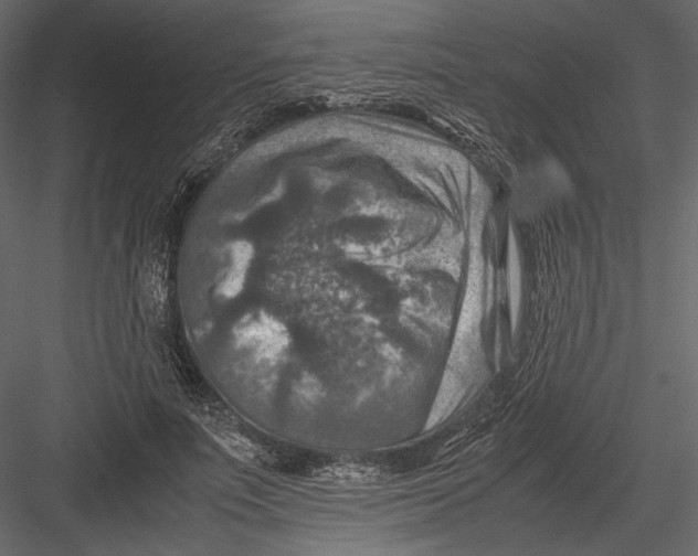 X0000082990691200702230100