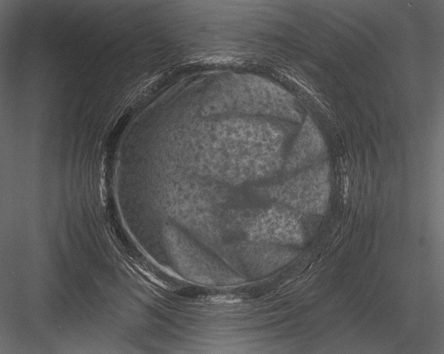 X0000082990692200702230100