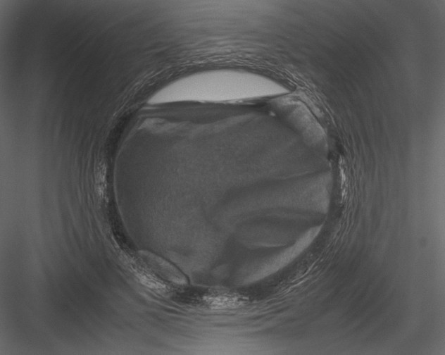 X0000082990693200702230100