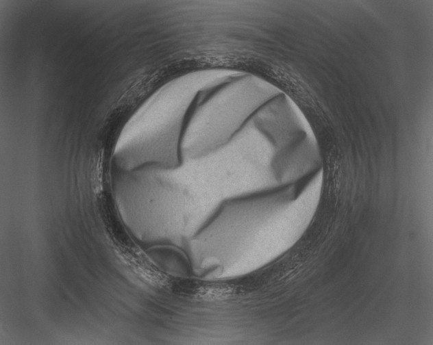 X0000082990694200702230100